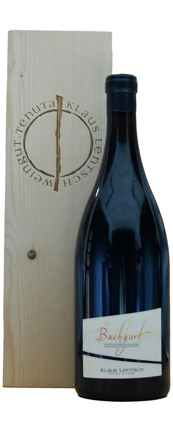 Doppelmagnum (3,0 L) Klaus Lentsch Bachgart Südtirol Blauburgunder in OHK 2015